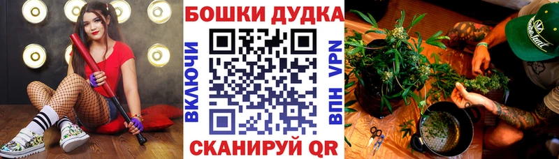 Купить наркотик Циолковский А ПВП  Бошки Шишки  ТГК  ГАШ  АМФЕТАМИН  Кокаин  Меф 