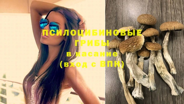 каннабис Лабытнанги