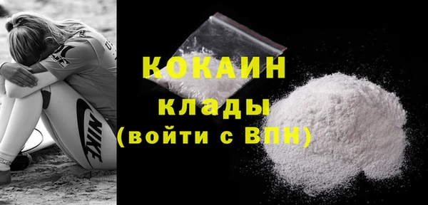 молекула духа Майский
