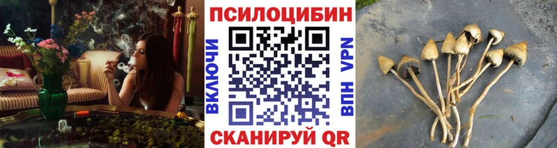 Псилоцибиновые грибы Psilocybe Циолковский